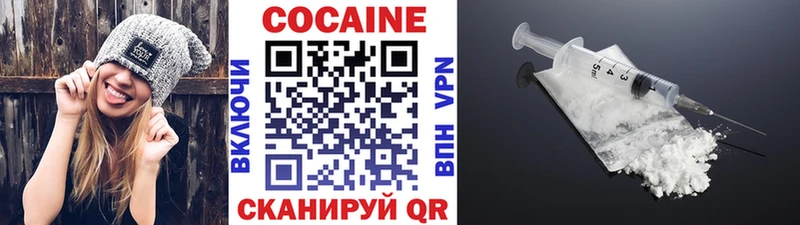 COCAIN Fish Scale  Купить закладки  Шумерля 