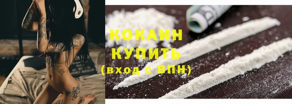 apvp Вяземский