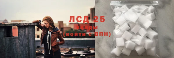 apvp Вяземский