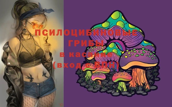 apvp Вяземский