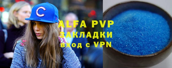 apvp Вяземский