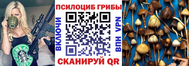 Купить где  Шумерля  Галлюциногенные грибы мицелий 